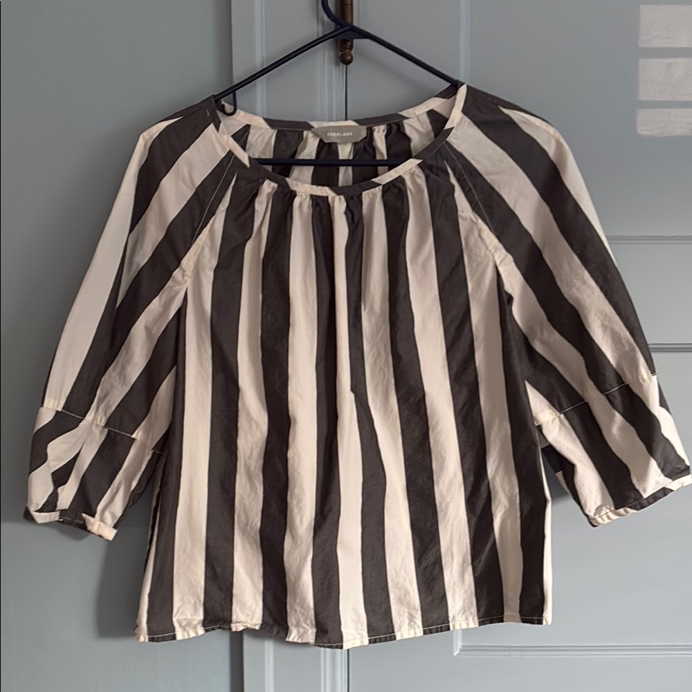 Everlane Black and White Striped Blouse